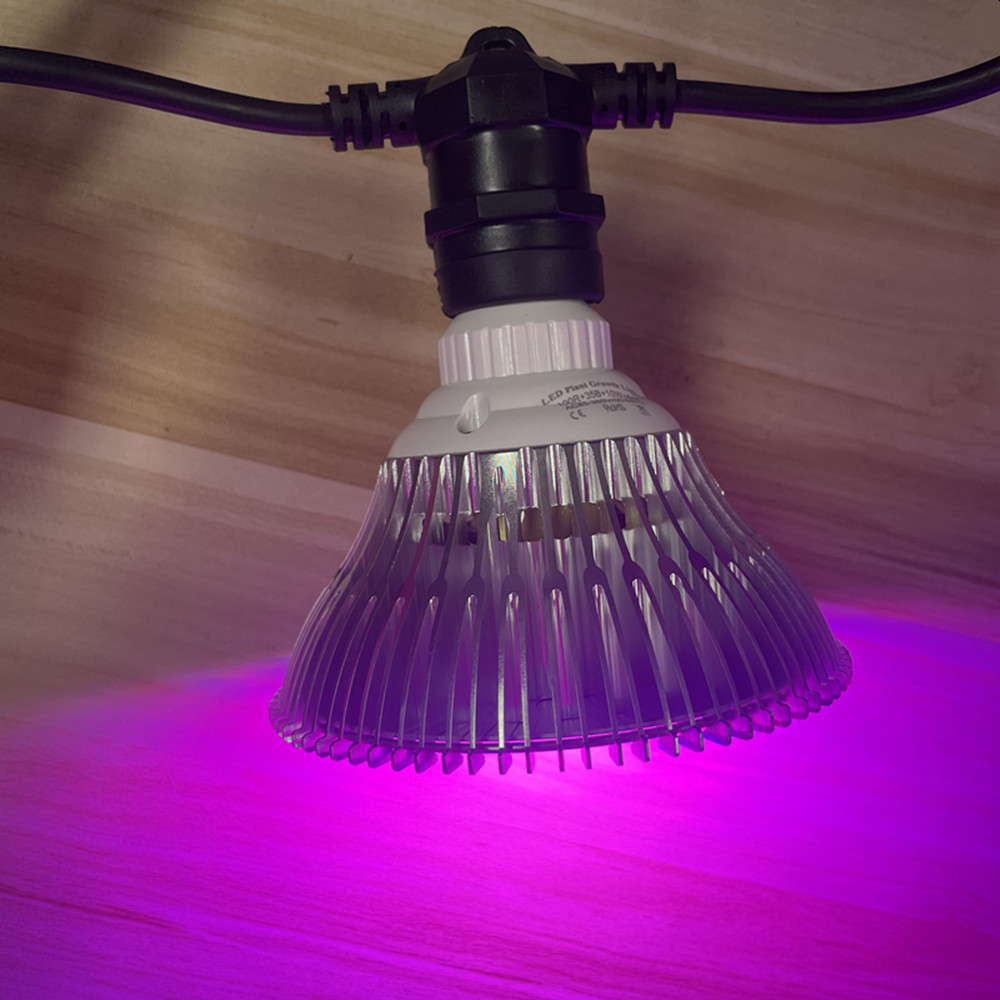 10M Cable LED String Commercia - Outdoor Lighting Permanent review and price