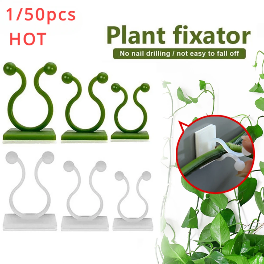 1/30/50Pcs For Garden Accsesor - Outdoor Lighting Amazon review and price